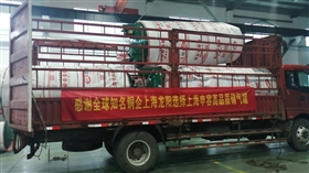 上海龙阳